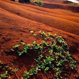 《小猫咪大城市》正式发售！首发限时折扣仅需59元
